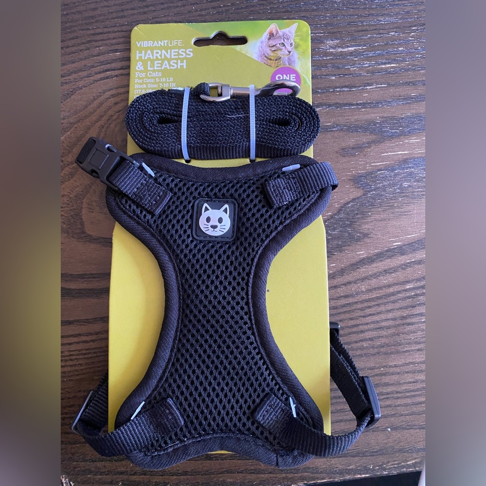 Vibrant Black Cat Harness and Leash